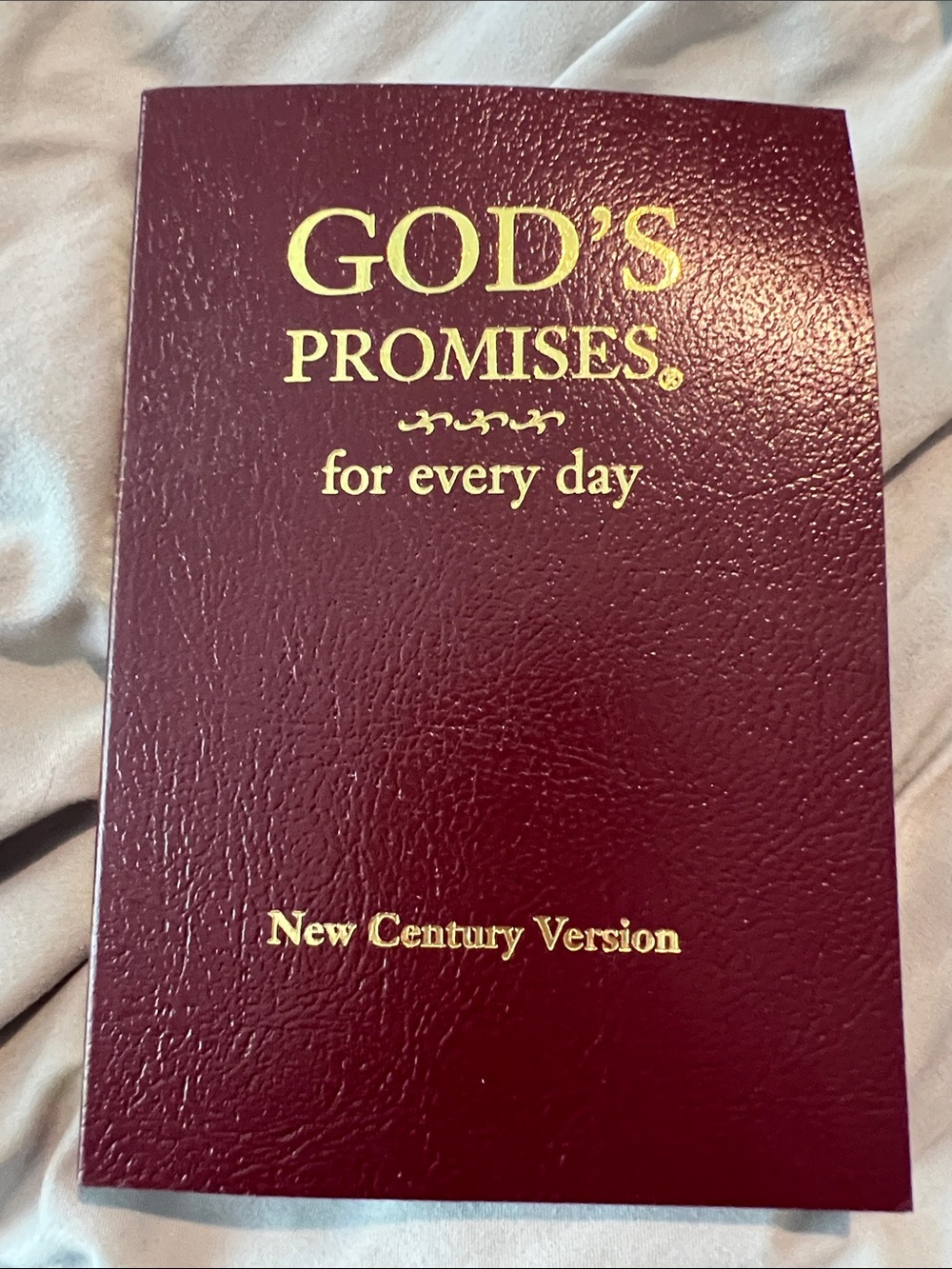 God's Promises for Every Day - Burgundy Devotional